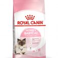 sol-mother-babycat-dry-packshot-b1