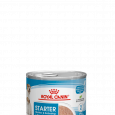 sol-starter-mousse-wet-packshot-b1